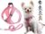 JdotMIN No Pull Cat and Dog Harness and Leash Set, for Extra Small to Small Breed, Lightweight Breathable Reflective Strips, Walking Escape Proof Soft Kitten Puppy Harness, Easy Control, Step In Pet Vest Jacket (Pink, S)