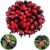 Kalolary Drip Irrigation Kits Plant Watering System Accessories, Micro Flow Drip Irrigation Misting Cooling System, for Home Garden Patio Misting (100Pcs 1/4Inch Adjustable Watering Sprinklers)