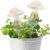 KiKiHeim 2 Pcs Plant Watering Devices Iridescent Mushroom Self Watering Globes, Automatic Plant Waterer Hand Blown Clear Glass Water Bulbs for Indoor Plants