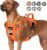 Lukovee No Pull Dog Harness, No Choke Pet Harness with 2 Leash Clips and Easy Control Vertical Handle, Adjustable Soft Padded Dog Vest for Small, Medium and Large Dogs (X-Large, Orange)