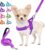 Lukovee Walking Dog Harness and Leash, Heavy Duty Adjustable Puppy Harness Soft Padded Reflective Vest Harness Anti-Twist 4FT Pet Lead Quick Fit Lightweight for Small Dog Cat (XX-Small, Purple)