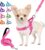 Lukovee Walking Dog Harness and Leash, Heavy Duty Adjustable Puppy Harness Soft Padded Reflective Vest Harness Anti-Twist 4FT Pet Lead Quick Fit Lightweight for Small Dog Cat (X-Small, Pink)