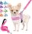 Lukovee Walking Dog Harness and Leash, Heavy Duty Adjustable Puppy Harness Soft Padded Reflective Vest Harness Anti-Twist 4FT Pet Lead Quick Fit Lightweight for Small Dog Cat ( XX-Small, Fuschia )