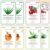 MEAROSA Korean skin care Vitamin C Collagen Firming Essence Facial Sheet Masks Premium Quality Sensitive Skin (8 Sheets Variety pack)