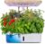 Moistenland Hydroponics Growing System,Indoor Garden,Herb Garden Indoor Kit,with 12 Pods/Water Circulatory System/Growth LED Lights/Vegetable Mode & Fruit Mode/Ideal Gift