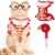 PAWFUN Cat Harness and Leash Set for Small Large Cats, Adjustable Kitten Harness Escape Proof, Soft Cat Vest Lightweight Travel Cat Harnesses with Reflective Trim for Outdoor Walking