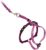 PetSafe Come with Me Kitty Harness and Bungee Leash, Medium, Dusty Rose