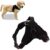 PetWizard Dog Harness No-Pull Adjustable Reflective Straps Soft Padding Pet Harness Strong Handle Red Black for Small Medium Large Dogs (L, Black)