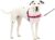 Petsafe Easy Walk Dog Harness, No Pull Dog Harness, Raspberry/gray, Medium/large(pack of 1)