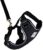 RC Pet Products Adventure Kitty Harness, Cat Walking Harness, Medium, Black (53804001)