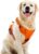 SK Depot® Dog Harness XLarge Chest 20.3″-39.6″ No-Pull Pet Harness with Leash Clips, Adjustable Soft Padded Dog Vest Harness, No Choke Pet Oxford Vest Easy Control Handle for Large Dogs (XL, Orange)