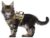 Tactical Cat Harness for Walking Escape Proof, Soft Mesh Adjustable Pet Vest Harness for Large Cat,Small Dog (Medium, Khaki)