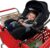 Totes Babies Shopping Cart Car Seat Carrier for Baby Newborns Infants Toddlers | Designed for Safety, Comfort, Convenience & Easy Interaction with Baby