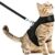 VavoPaw Cat Harness Leash Set for Walking, Adjustable Cat Rabbit Vest Harness with Reflective Strap Safety Bell Breathable Mesh for Cat Kitten Bunny Guinea Pig Small Pets, Medium Size, Black