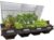 Vegepod – Raised Garden Bed – Self Watering Container Garden Kit with Protective Cover, Easily Elevated to Waist Height, 10 Years Warranty (Large)