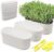 Window Box Planter with Saucers 5 Sets,Plastic Planters with Multiple Drainage Holes and Trays,Flower Pots for Home Garden Succulents Modern Decorative Window Planter Box,Garden Pot Plant Container