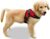 (X-Small, Red) – Copatchy No Pull Reflective Adjustable Dog Harness With Handle
