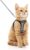 rabbitgoo Cat Harness and Leash Set for Walking Escape Proof, Adjustable Soft Kittens Vest with Reflective Strip for Cats, Comfortable Outdoor Vest, Grey, Medium