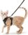 rabbitgoo Cat Harness and Leash for Walking, Escape Proof Soft Adjustable Vest Harnesses for Small Medium Cats, Easy Control Breathable Reflective Strips Jacket, XS, Black