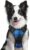 rabbitgoo Dog Harness No Pull, Adjustable Dog Walking Chest Harness with 2 Leash Clips, Comfort Padded Dog Vest Harness with Handle, Reflective Front Body Harness for Large Dogs, Blue Plaid