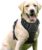 rabbitgoo Dog Harness, No-Pull Pet Harness with 2 Leash Clips, Adjustable Soft Padded Dog Vest, Reflective No-Choke Pet Oxford Vest with Easy Control Handle for Large Dogs, Black, L